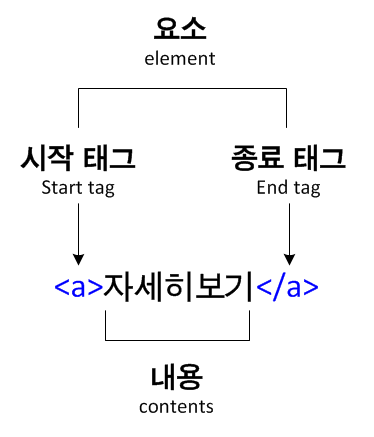 웹의 기본 본문 그림