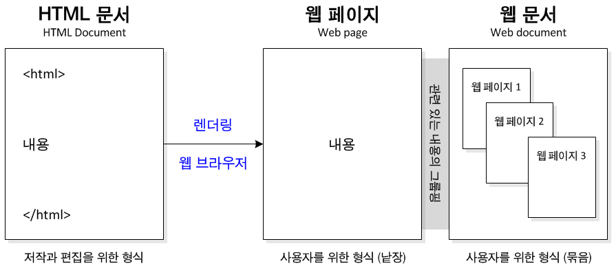 웹의 기본 본문 그림