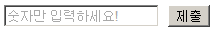 placeholder 속성의 지정 방식과 결과 예시